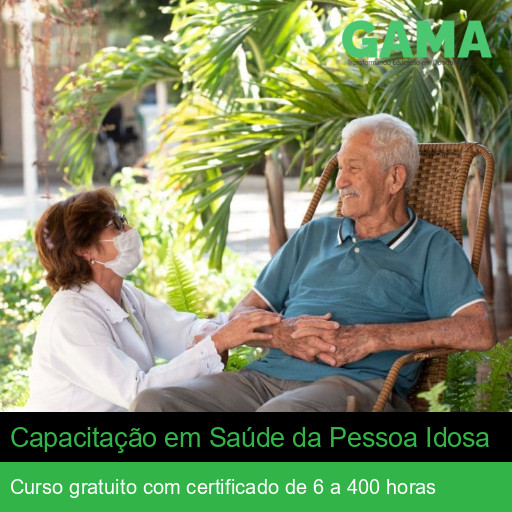 Capacitação em Saúde da Pessoa Idosa